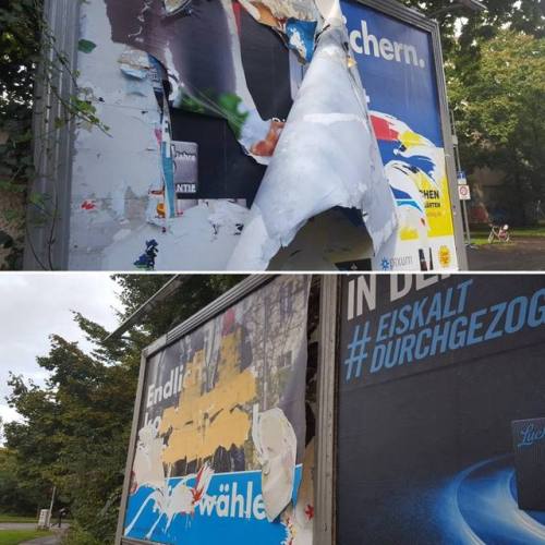 Just a small selection of the AfD (‘Alternative for Germany’, a far-right populist party) billboards