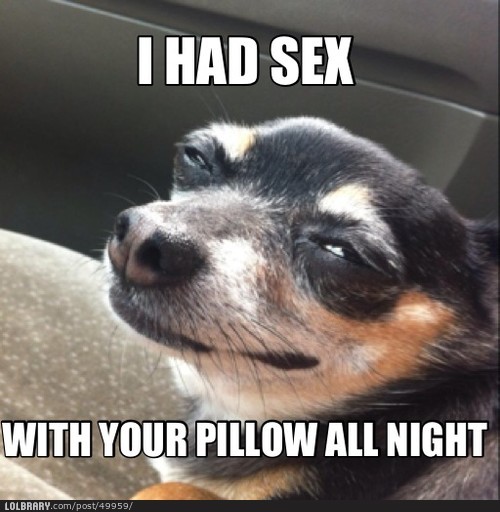 dailyhilariouspics:  Awe YeaaFollow this blog for the best new funny pictures every day  I think, I need to worry…this is the same look I get from my dog !
