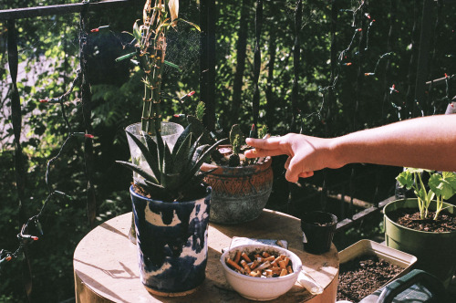 annelise’s porch