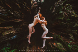 corwinprescott:  “We Were Wanderers”Redwoods,