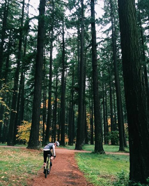 dfitzger: by @theathletic: Headed over to Pier Park this morning to check out the State Cross Countr