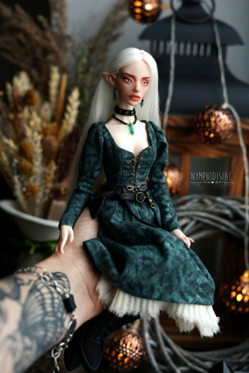 dollhobby