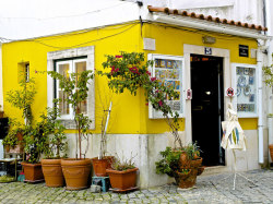 peachypainting:  Alfama Tourist Shop, Portugal 