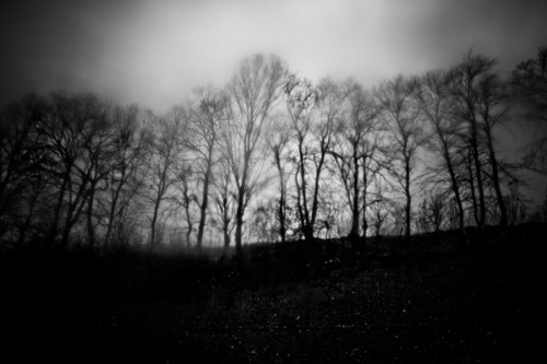 maybeghosts:  to be buried and discovered again.by *permafrost6     