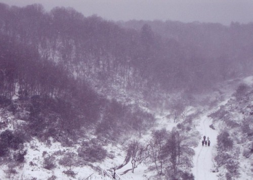 #likeapainting #my #tableau #snow &hellip; #landscape #landscapephotography #snowy #photography 