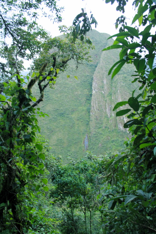 theadventurechild:  eh-lephants:  balinaise:  barefoot-wanderer:  xoxo peru  ❂ Queued. Have an amazi