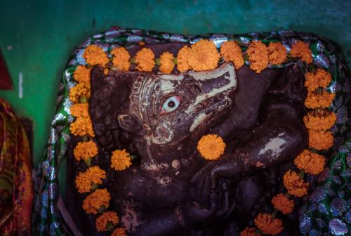 Varaha, Jajpur , Odisha, photo by Indradyumna Swami