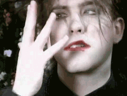 i-am-purity:  meteorkin:  Weird Robert is beautiful.  perfect human being 