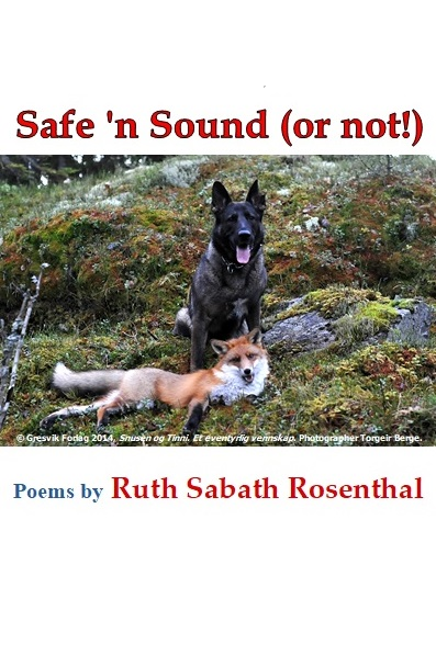 Safe 'n Sound (or not!), book cover