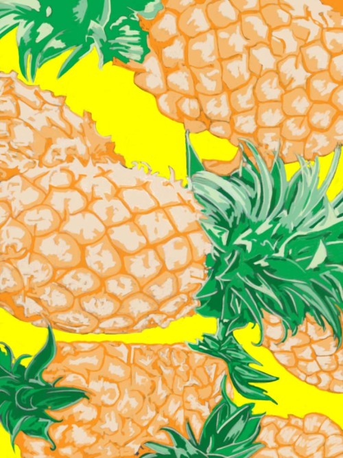 tiffanyhoran:  Tiffany Horan, Pineapple, 2013.