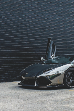 wearevanity:  Aventador | WAV 