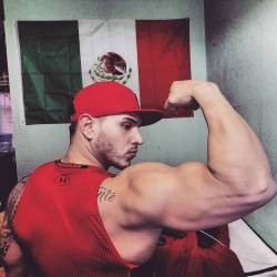 musclemex:Alan Valdez