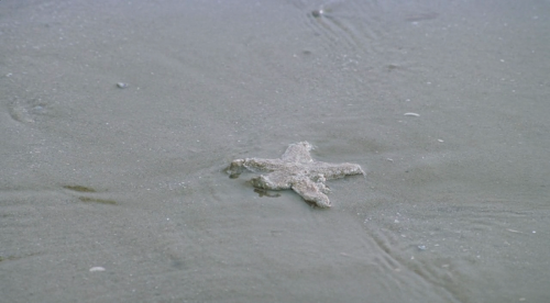 365filmsbyauroranocte: Woman on the Beach (Hong Sang-soo, 2006) 