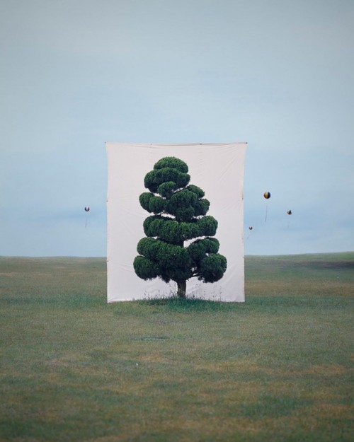 escapekit:TreeSouth Korea-based artist Myoung Ho Lee frames trees to create beautiful natural p