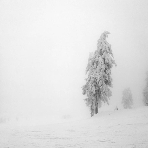 Winterwonderland Skifahren im Harz #skiing #skifahren #harz #wurmberg #freezingcold #snow #ice #heav