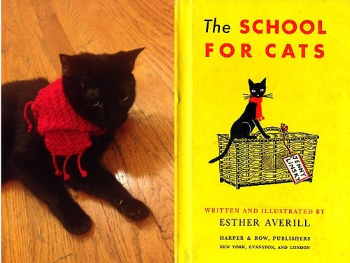 nyrbclassics:Black cat costume idea: Jenny Linsky.