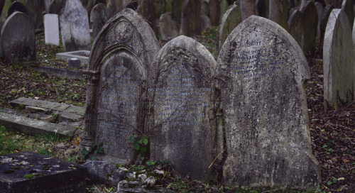 fallbabylon: Egyptian Gate- Highgate Cemetery, London UK