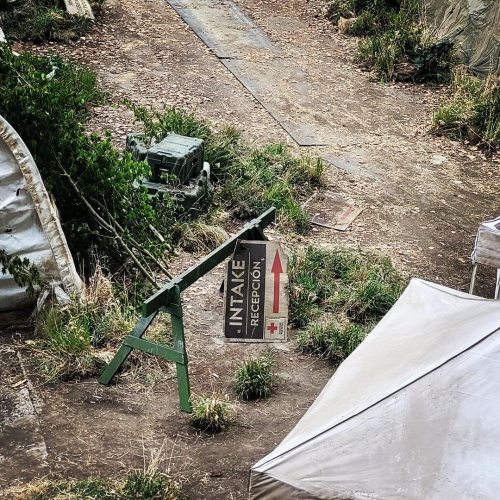 More pictures of the Last of Us set jaimep007 | Instagram