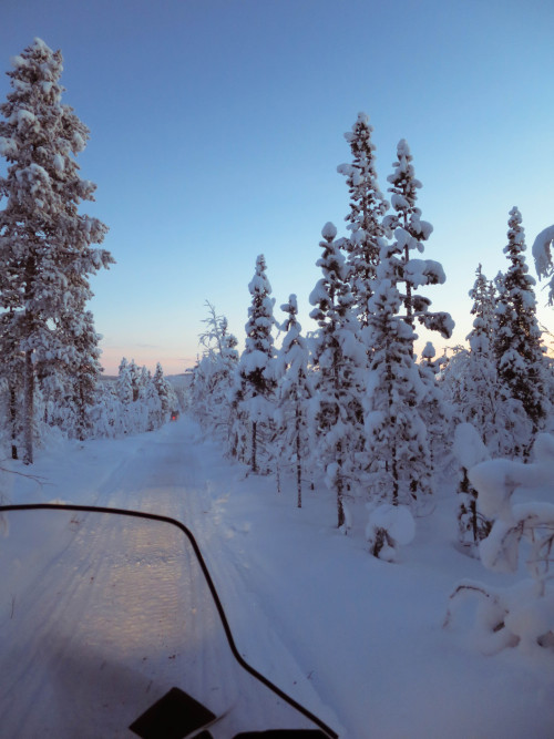 Spotted at 66°47'32.4&quot;N, 22°32'29.4&quot;E (Torne River, Kiruna Sweden). So I&rsquo;m from Aust