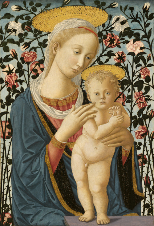 Follower of Filippo Lippi and Pesellino, Madonna and Child, c.1470