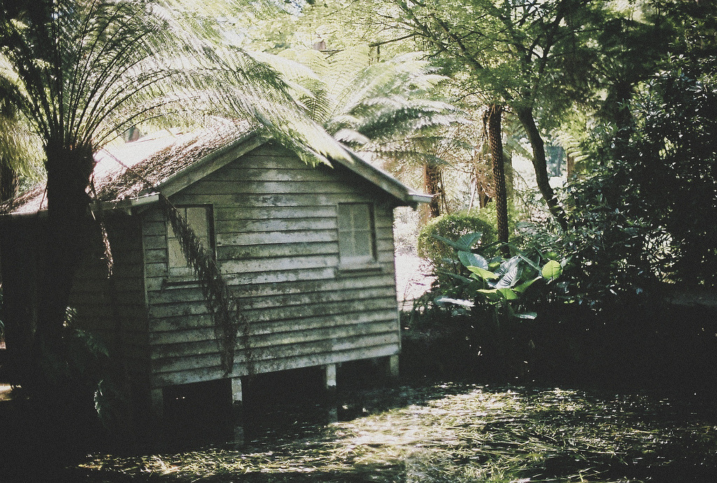 englishsnow:   Jeannine Tan 