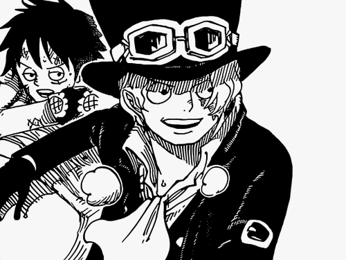 I’m Sabo of the Revolutionary Army and Strawhat Luffy is my little brother!