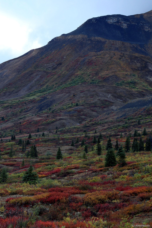 riverwindphotography: A Kaleidoscope of Color: MacKenzie Mountains, Yukon Territory, Canada by Kyle,