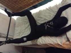 pupdonnie:  Morphsuit-bound Pupslave. 