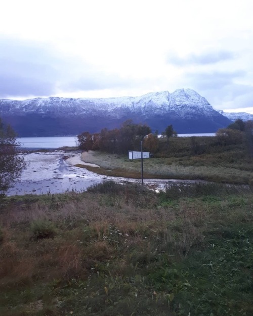 Tuesday morning❄ #northernnorway #norwegen #nordnorge #norway #love_norway #troms #rolla #ig_nordnor