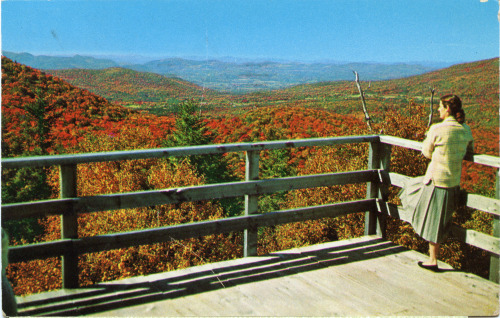 gameraboy2: Vintage travel postcards of women staring at landscapes