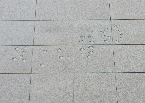 Concrete relief Plattenbau, Nove Fužine, Ljubljana