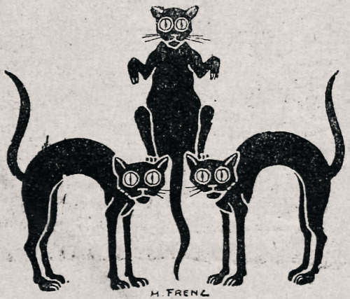 danskjavlarna: From Boloto, 1905. They’re just so good: unusual cats I’ve met in my time
