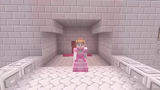 Minecraft Wii U Edition Princess Peach S Skin And The Princess Is In This Blog