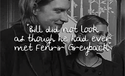  harry potter meme: seven relationships [3/7] » bill &amp; fleur ↳ “Fleur