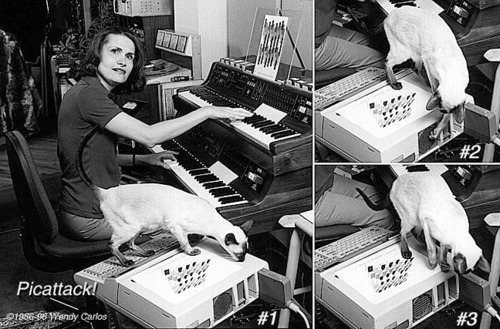 policedronecrashesintopolice:  Whoops, that picture I reblogged earlier was not of Wendy Carlos, but here are some shots of Wendy with some awesome looking synths 