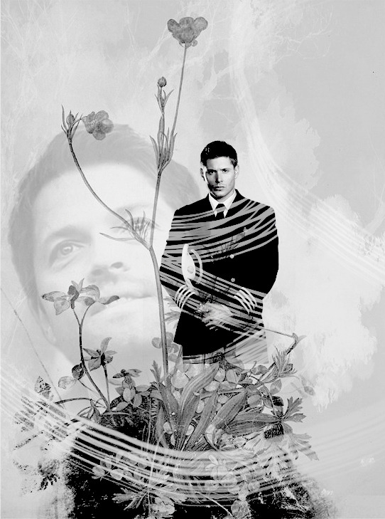 doctormuggle: for my botm deansmuffin 