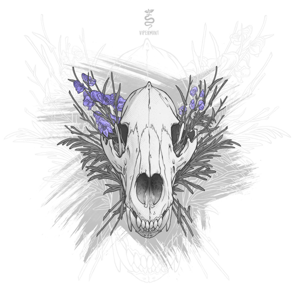vipermint:  Wolfsbane  aconite / monkshood / wolf’s bane / leopard’s bane