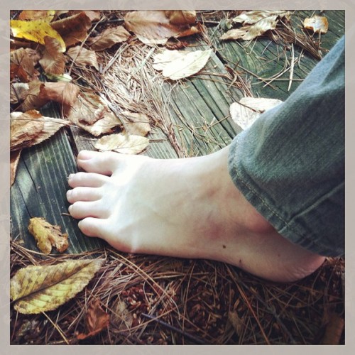 #leaves #baretoes #feet #footfetish
