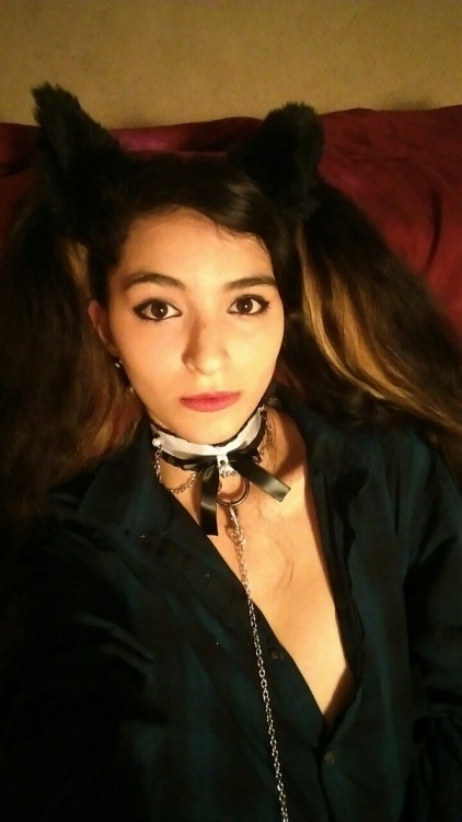 catgirlmanor:  I just wanted some opinion on my photos ive been told I should try out for y'all I’m sorry there all selfies just want an honest opinion since I know y'all are a big community and have lots of experience 
