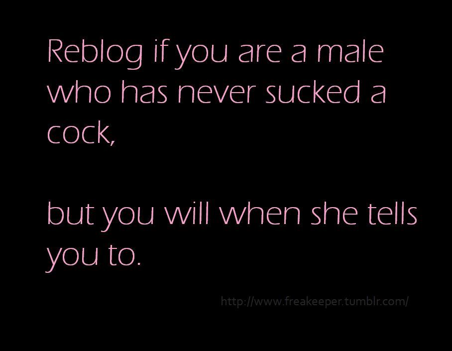 gbcuck69:  I’m ready.