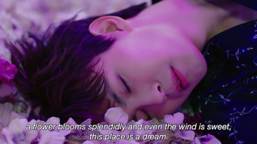 “you are the place i wandered and searched for,” — shangri-la, vixx (2017)