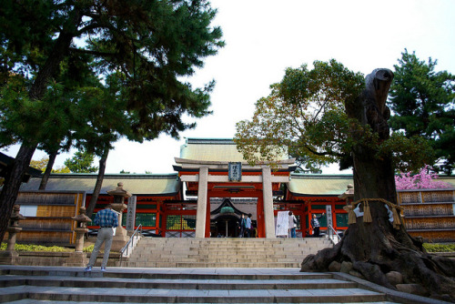 Sumiyoshi Taisha on Flickr.