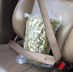 thatswhatmaryjanesaid:  Better safe than