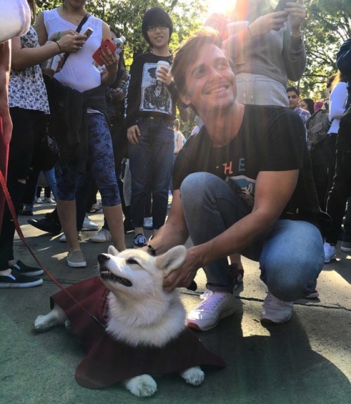 bestofantoni - THE SUNLIGHT. THE CORGI. A HAPPY ANTONI. THIS...