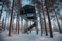 blazepress:The Coolest Treehouse in Lapland