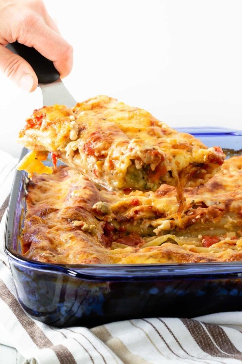 This turkey manicotti is amazing - noodles filled with ground turkey in a mushroom cream sauce, then