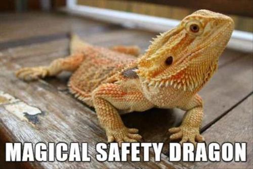What Animals Should Really Be Called.
