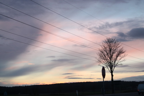 Porn lebensfeuerwerk:I remember every sunset. photos