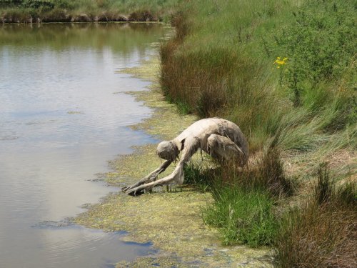 thefabulousweirdtrotters:    Homo Algus, Marais de Séné, Bretagne, France  Land art by Sophie Prestigiacomo     That is scary looking…