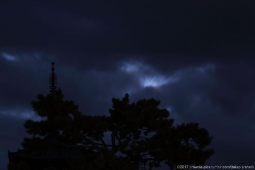 ‘21.11.23 興福寺にて夜明け前の興福寺。6時になると南円堂横の鐘が突かれます。静寂を破るその音を合図に、暗い空が少しずつ明るみを帯びてくるようでした。